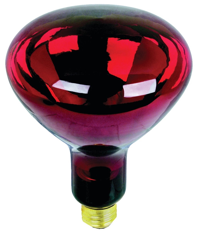 250 WATT RED HEAT LAMP BULB 250R40/R 2000HR